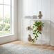 Crystal Clear Acrylic Bookcase