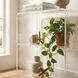 Crystal Clear Acrylic Bookcase