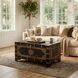 Artifacts Brown Storage Trunk Coffee Table