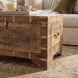 Artifacts Light Brown Storage Trunk Coffee Table