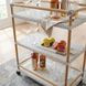 Tobias White and Sky Blue Dot Outdoor Bar Cart