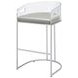 Thermosolis Grey And Chrome Acrylic Back Bar Stool Set of 2