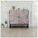 Astral Plains Grey Wash 2 Door Accent Cabinet