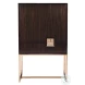 Signature Designs Ebony And Brass Casanova Bar Cabinet