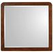 Robyn Dark Walnut Mirror