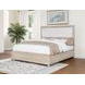 Pembroke Washed Oak and Cream California King Upholstered Panel Bed with Nailhead Trim