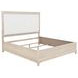 Pembroke Washed Oak and Cream California King Upholstered Panel Bed with Nailhead Trim