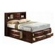 Ireland Espresso Queen Bookcase and Storage Bed