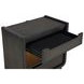 Leandro Burnished Black 2 Drawer Nightstand with LED Light and USB Charging