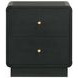 Cavelle Black 2 Drawer Nightstand