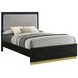 Caraway Black and Gray California King Upholstered Panel Bed with LED Light