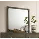Gran Park Dark Cocoa Dresser Mirror