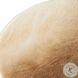 Nocona Speckled Hide Counter Height Stool