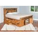 Crimson Ridge Beige Queen Storage Platform Bed