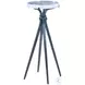 Luna Natural Iron and Clear Spot Table