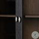 Toulouse Distressed Black Oak 2 Glass Door Cabinet