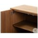 Posada Amber Oak Veneer Small 2 Door Cabinet