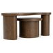Santa Cruz Whiskey Oak Free Form Bunching Occasional Table Set