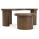 Santa Cruz Whiskey Oak Free Form Bunching Occasional Table Set
