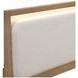 Riley Light Brown Queen Upholstered Panel Bed with LED