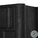Ezri Black Oak 2 Door Cabinet