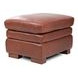 Ellery Brown Auburn Leather Living Room Set