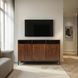 Ryder Walnut 50" Console Storage TV Stand