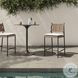 Miller Liller Flax Outdoor Woven Counter Height Stool