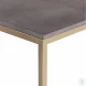 Trebon Charcoal Gray and Brushed Brass Cocktail Table