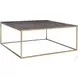 Trebon Charcoal Gray and Brushed Brass Cocktail Table