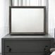 Naima Gray Rectangular Dresser Mirror