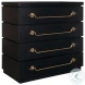 Winthrop Black Accent Chest