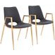 Desi Black and Gold Dining Chair Set of 2