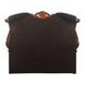 Dresden Black and Cherry Oak Queen Upholstered Sleigh Bed with Nailhead Trim