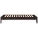 Hounslow Cappuccino Twin Universal Platform Bed