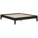 Hounslow Black Queen Platform Bed