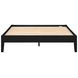 Hounslow Black Queen Platform Bed