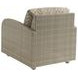 Sand Dune Brown and White Upholstered Outdoor Lounge Chair