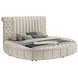 Sonya Ivory King Upholstered Panel Storage Bed
