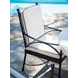 Pavlova Black and White Performance Fabric Outdoor Arm Chair