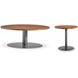 Brasea Lume and Tungsten Round Occassional Table Set