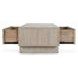 Anton Beige and Natural Rectangular Coffee Table with 4 Drawers