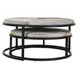 Hayword Sparrow Gray Round Coffee Table Set of 2