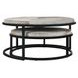 Hayword Sparrow Gray Round Coffee Table Set of 2