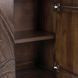 Ledro Dark Brown 2 Door Accent Cabinet