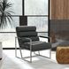 Topanga Graphic Charcoal Leather Upholstered Accent Chair