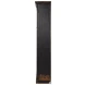 Edgar Allan Antique Black Bookcase
