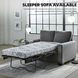 Rannis Pewter Twin Sofa Sleeper