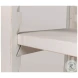 Zoey Antique White Bookcase