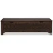 Aarush Brown Trunk